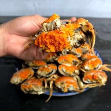 盘锦河蟹批发零售100斤起批，口感好，自家养殖