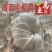 海南鲜老椰肉，精洗货，真空袋包装后速冻保鲜（空运/冷链）厂销