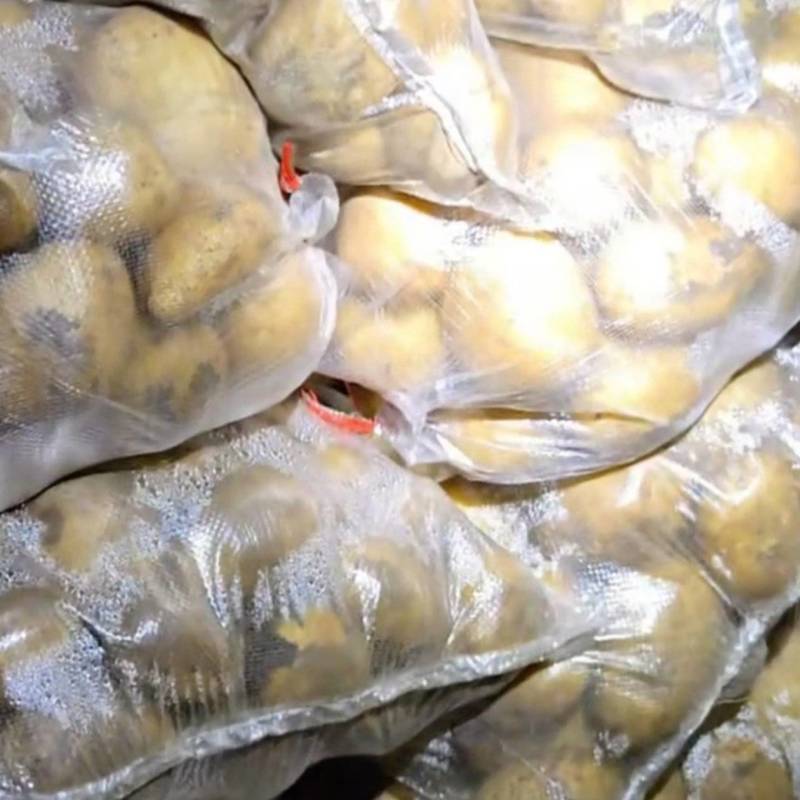 出售冷库荷兰土豆