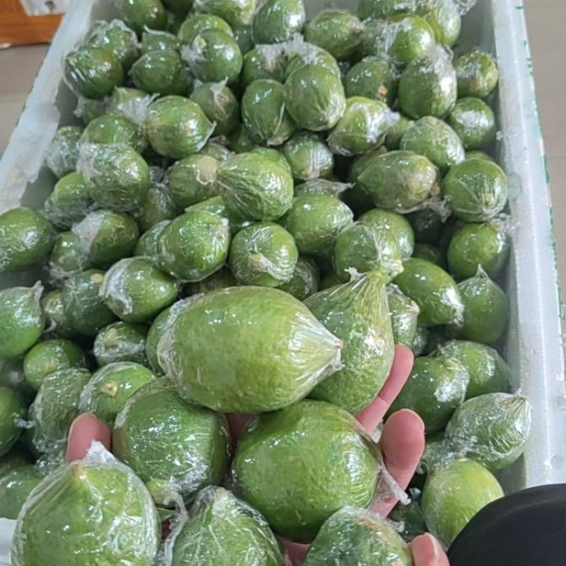 广东香水柠檬，产地直发，可视频看货，支持一件代发
