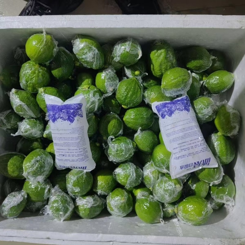 广东香水柠檬，产地直发，可视频看货，支持一件代发