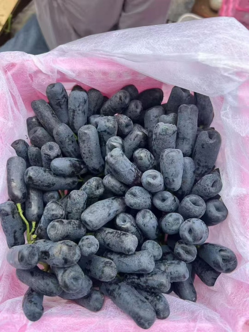 宾川西昌蓝宝石大量上市，有需要的市场，渠道，电商都可以来
