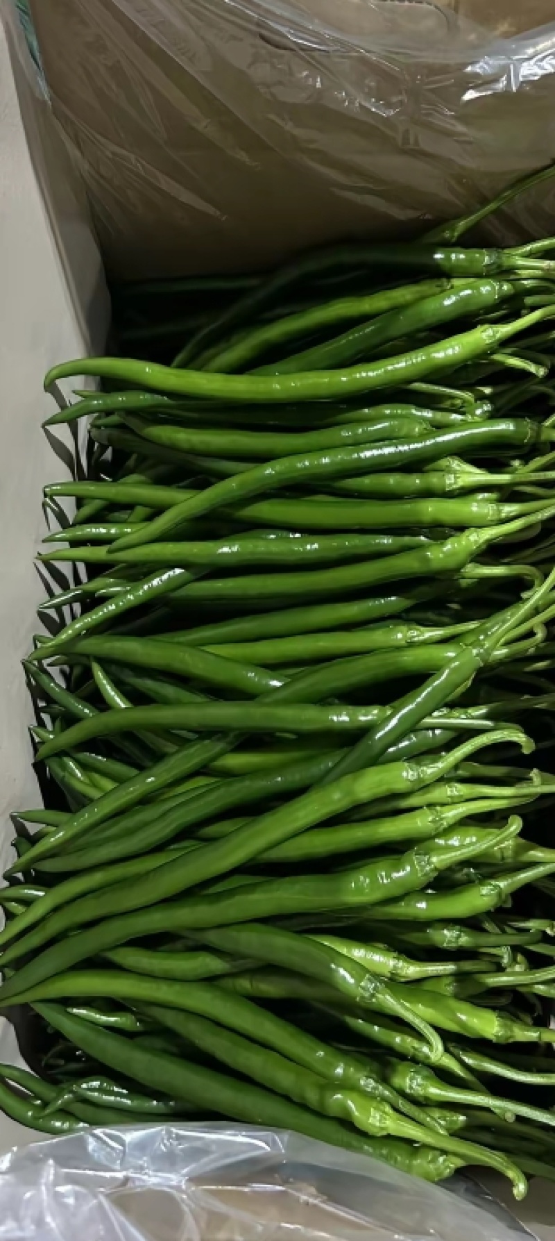 产地自产自销，可与电商，批发商对接