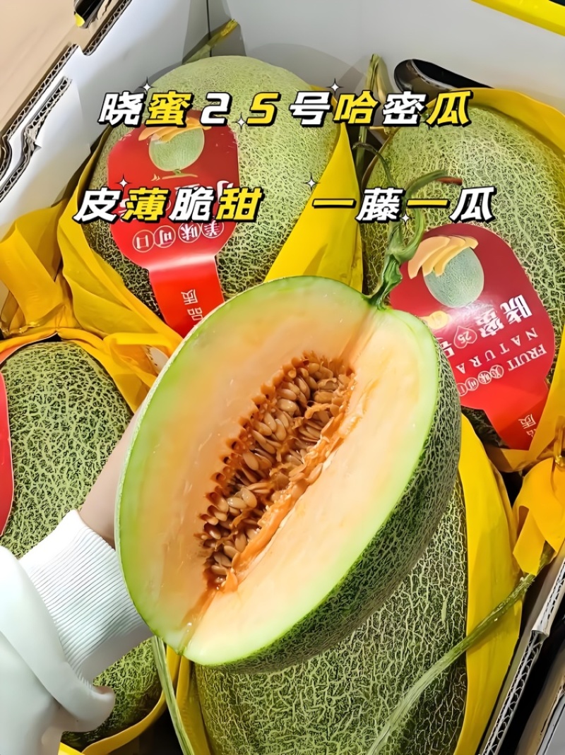 精品晓蜜25口感脆甜多汁货源充足量大从优