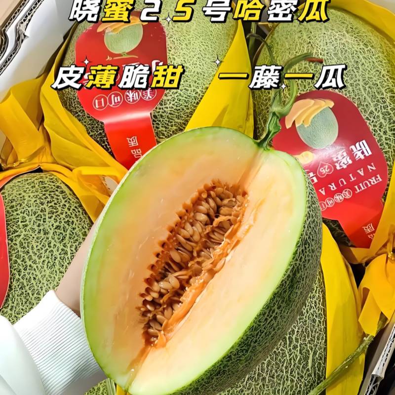 精品哈密瓜晓蜜25号西州蜜大量有货价格合理