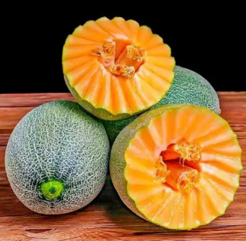 精品哈密瓜晓蜜25号西州蜜大量有货价格合理