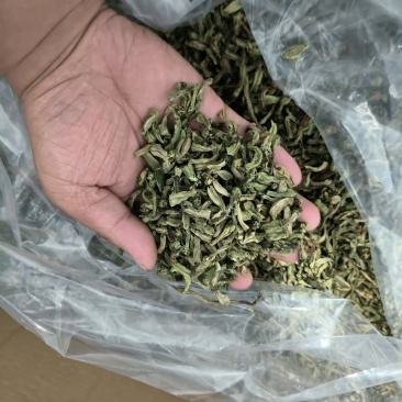 干豆角，精品干豆角颗粒，品质好价格实惠大量供货