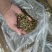 干豆角，精品干豆角颗粒，品质好价格实惠大量供货