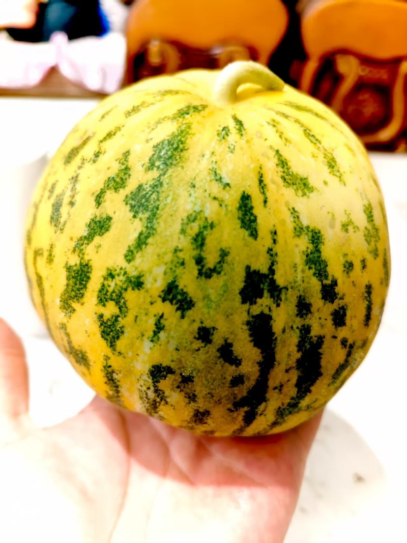 八里香甜瓜量大上市