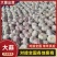 山东紫皮大蒜，白皮大蒜，产地批发，诚信代发，全国发货