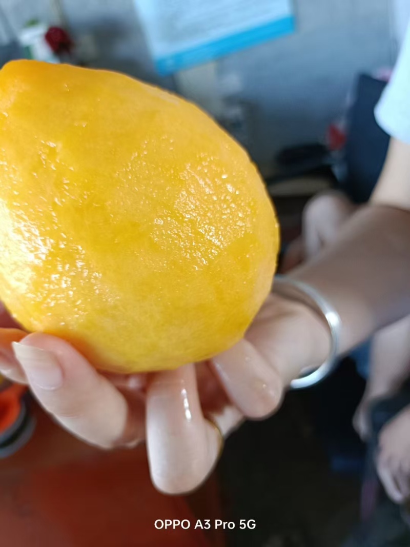 黄桃