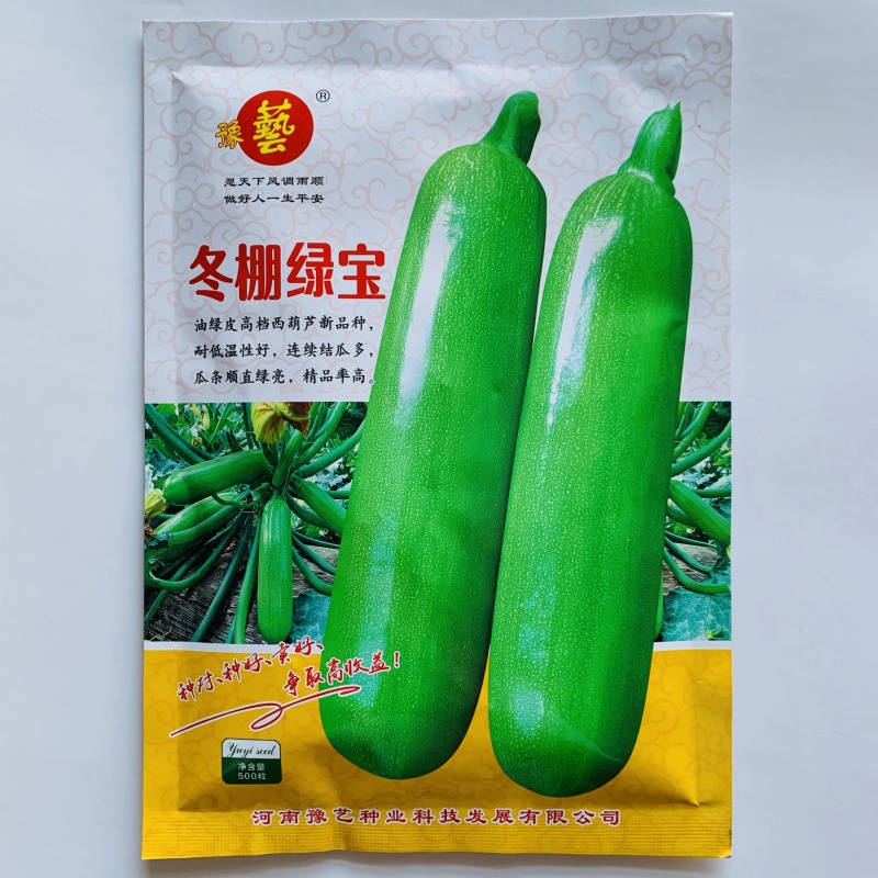 豫艺冬棚绿宝油皮西葫芦种子翠绿油亮耐低温角瓜种子高产抗病