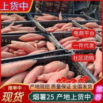 《一件代发》烟薯&山东蜜薯/电商～批发～带货～供应链