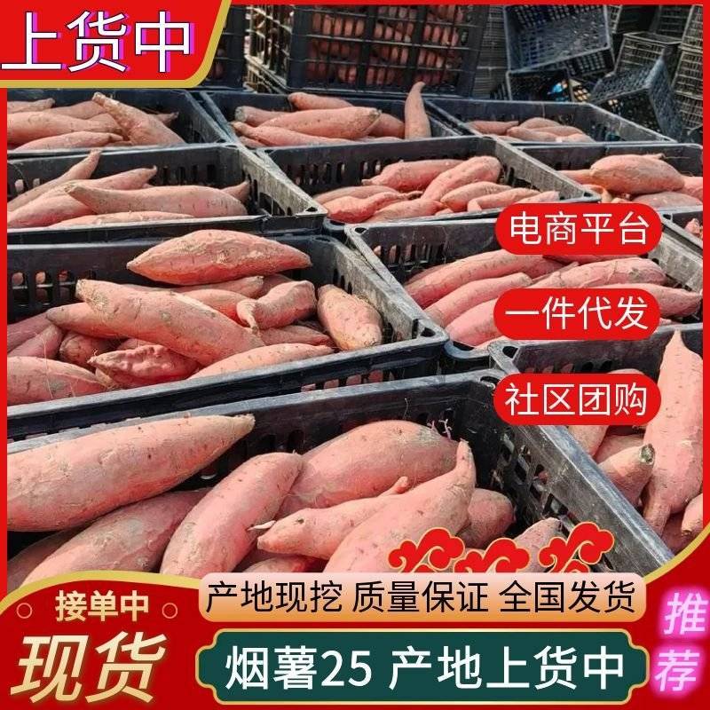 《一件代发》烟薯&山东蜜薯/电商～批发～带货～供应链