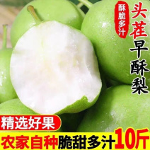【新鲜早酥梨】陕西脆甜青皮早酥梨子绿皮梨子应季水果整箱批发
