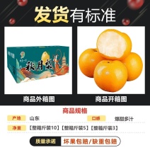 【彩箱】正宗秋月梨新鲜当季水果山东莱阳冰糖羊脂梨子大果脆薄皮