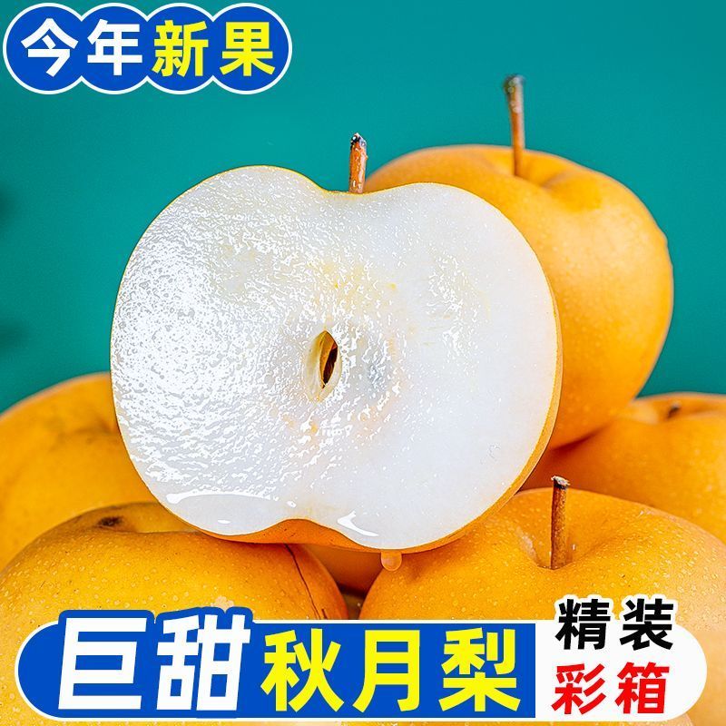 【彩箱】正宗秋月梨新鲜当季水果山东莱阳冰糖羊脂梨子大果脆薄皮