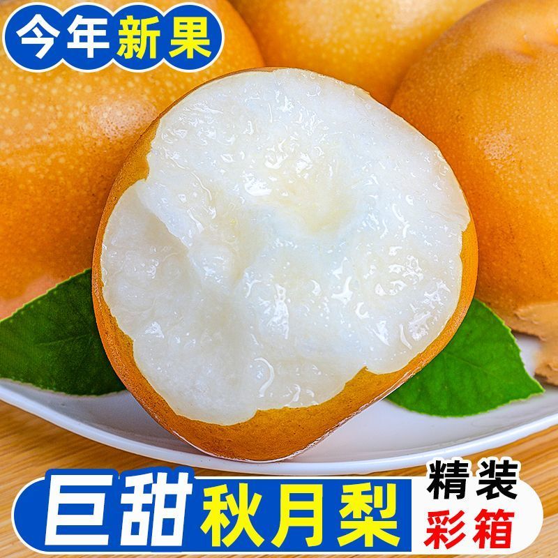 【彩箱】正宗秋月梨新鲜当季水果山东莱阳冰糖羊脂梨子大果脆薄皮