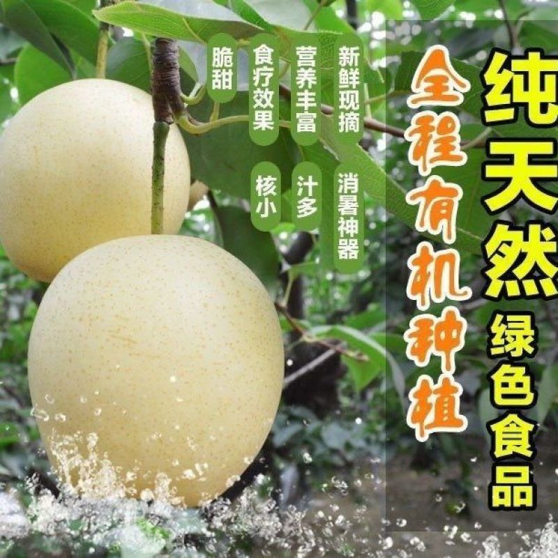 正宗皇冠梨雪花梨雪梨鸭梨新鲜梨子整箱批发应季水果薄皮润肺酥梨