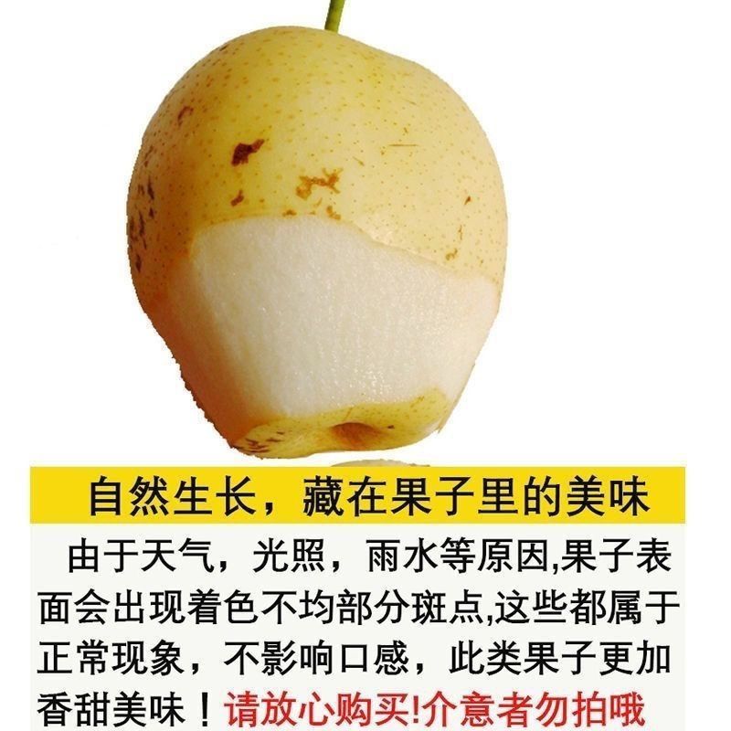 正宗皇冠梨雪花梨雪梨鸭梨新鲜梨子整箱批发应季水果薄皮润肺酥梨