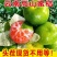 酸桔子云南蜜桔薄皮青皮橘子孕妇无籽新鲜水果无核桔子批发价包邮