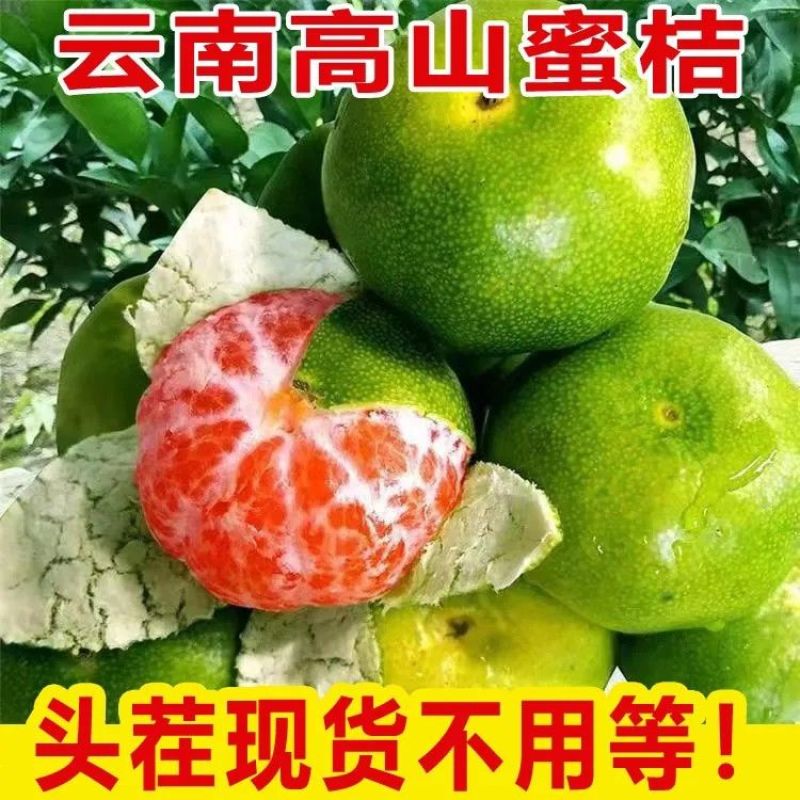 酸桔子云南蜜桔薄皮青皮橘子孕妇无籽新鲜水果无核桔子批发价包邮