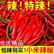 新鲜小米辣小米辣椒小米椒蔬菜小米辣鲜椒新鲜辣椒特辣巨辣红辣椒