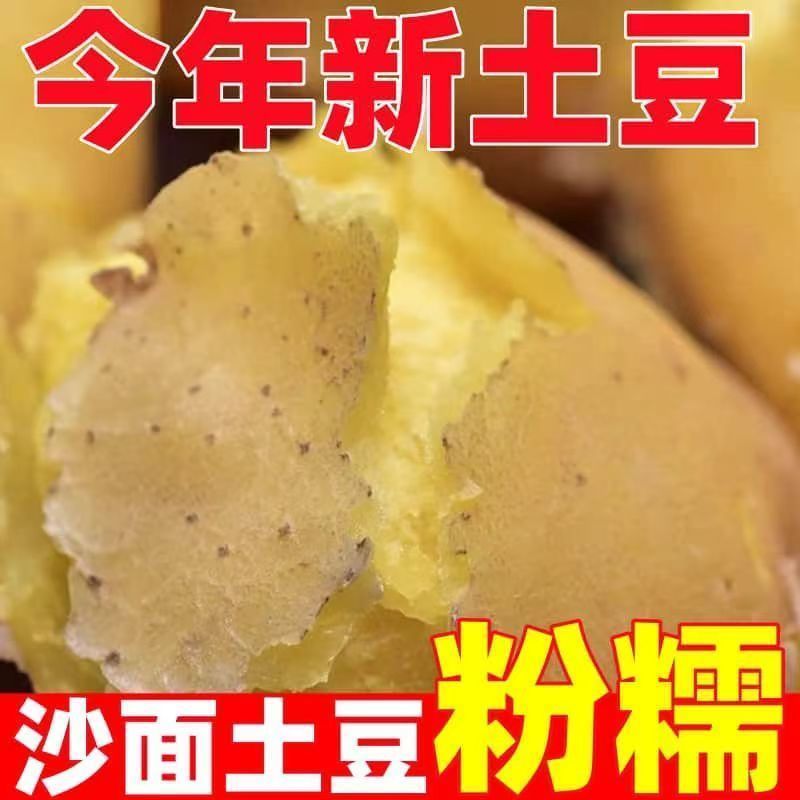2025新黄心土豆黄皮新鲜现挖现发正宗马铃薯洋芋整箱批发抢鲜