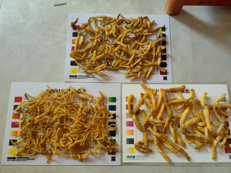 【玉竹熟条】连州玉竹产地直供质量保证货源充足欢迎订购