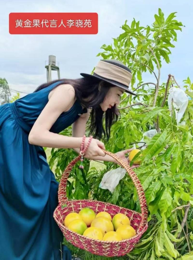 上海直供新鲜黄晶果，果香浓郁，甜润多汁，健康美味，品质保证！
