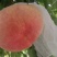 水蜜桃
