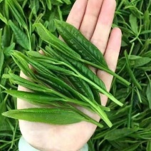 【超嫩绿-猴魁】AAAAA太平猴魁2025安徽黄山太平猴
