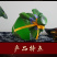 内蒙古特产草原烈马62度500mlx4瓶装高度原浆白酒厂价批