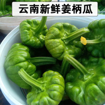 云南特产姜柄瓜新鲜农家蔬菜小麦瓜嫩甜面南瓜绿瓜姜饼瓜