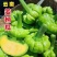 云南特产姜柄瓜新鲜农家蔬菜小麦瓜嫩甜面南瓜绿瓜姜饼瓜