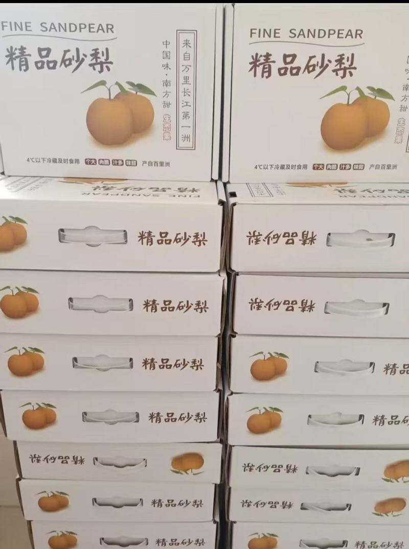 百里洲砂梨