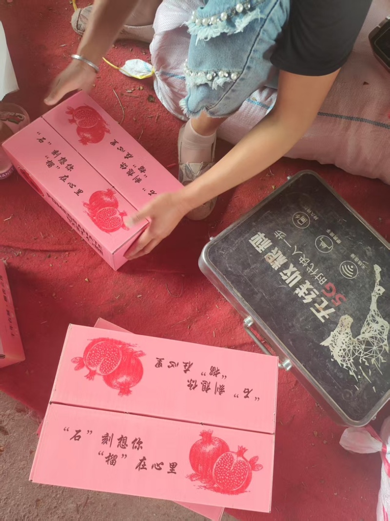 云南软籽石榴一件代发！！