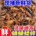 油葫芦蟋蟀，基地直发品质保证，量大从优一手货源欢迎