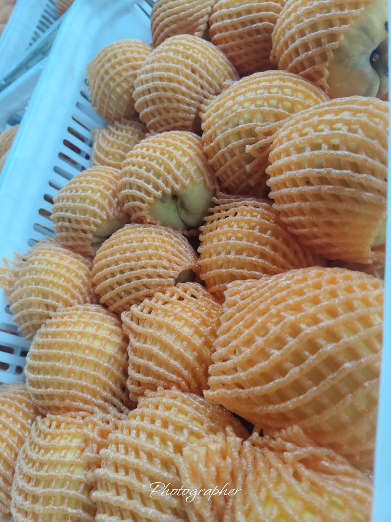 黄桃批发