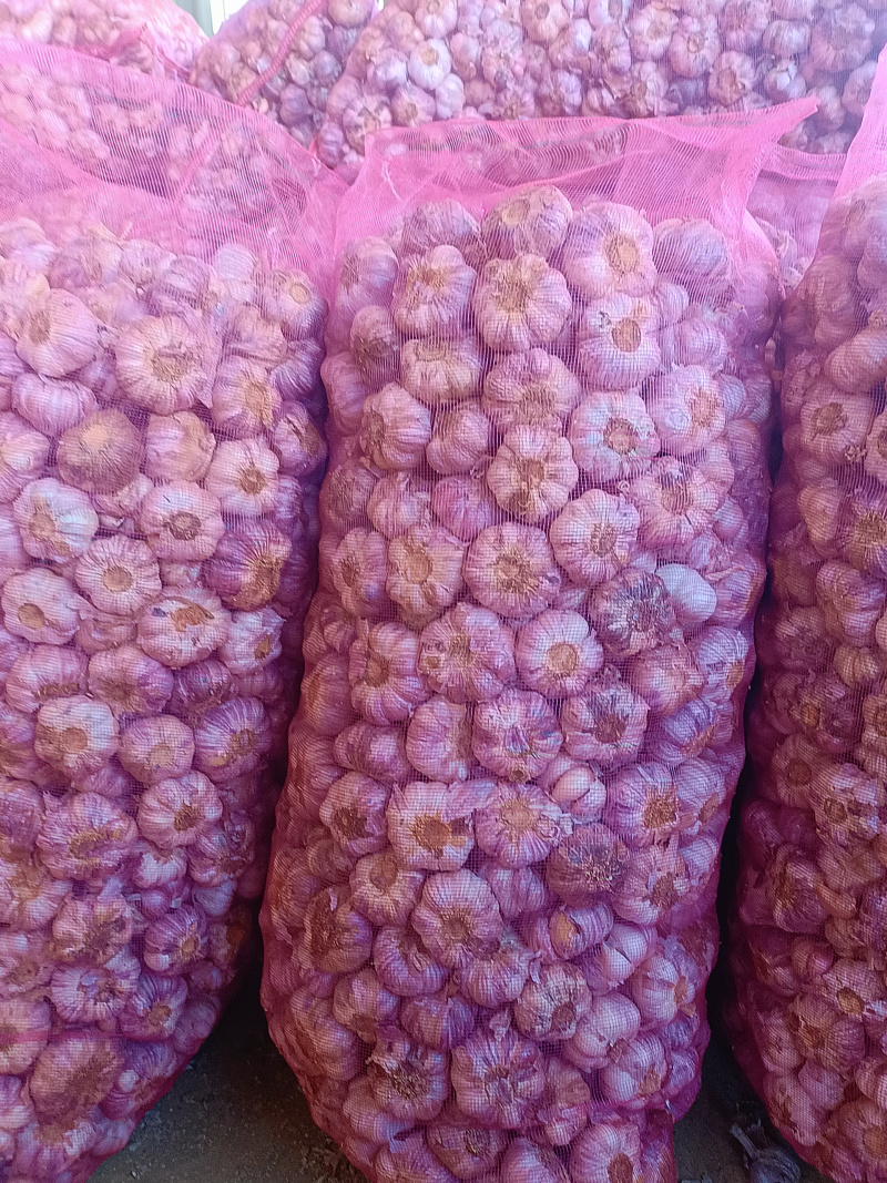 云南紫皮蒜干蒜2025年新货产地直发