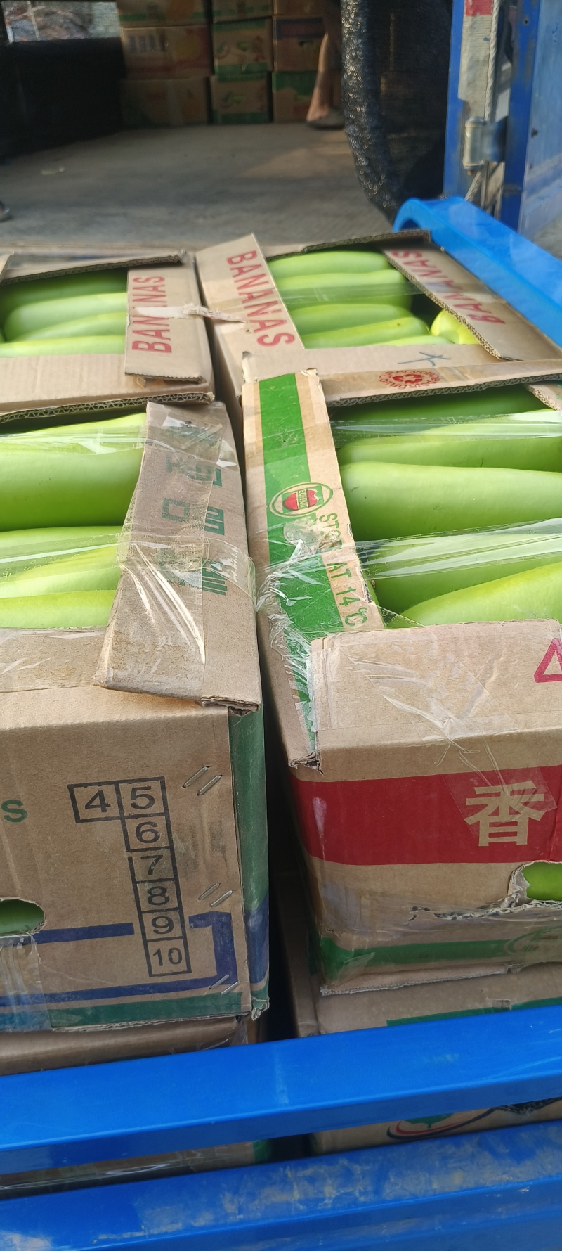 瓠子