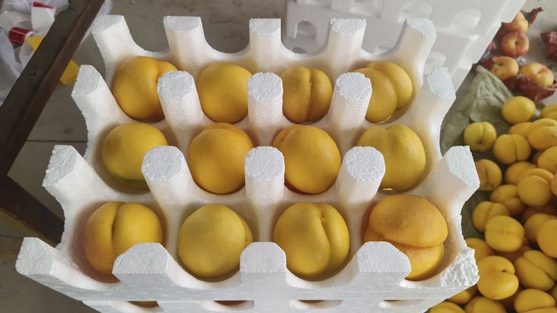 黄菊油（油桃）香脆可口油桃皇后