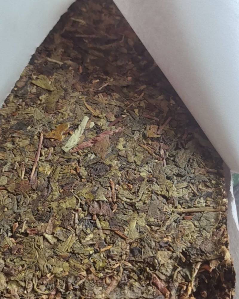 金制茯砖