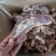 满肉牛腩排，诚信经营，价格合理，一首货源，品质优良。