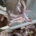 满肉牛腩排，诚信经营，价格合理，一首货源，品质优良。
