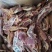 满肉牛腩排，诚信经营，价格合理，一首货源，品质优良。