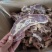 满肉牛腩排，诚信经营，价格合理，一首货源，品质优良。