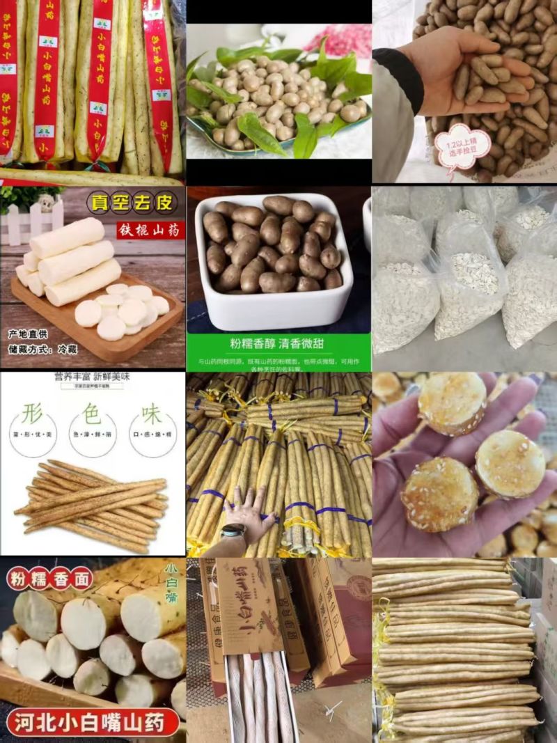 小白嘴山药产地直供，对接全国各大批发市场，超市，电商团购