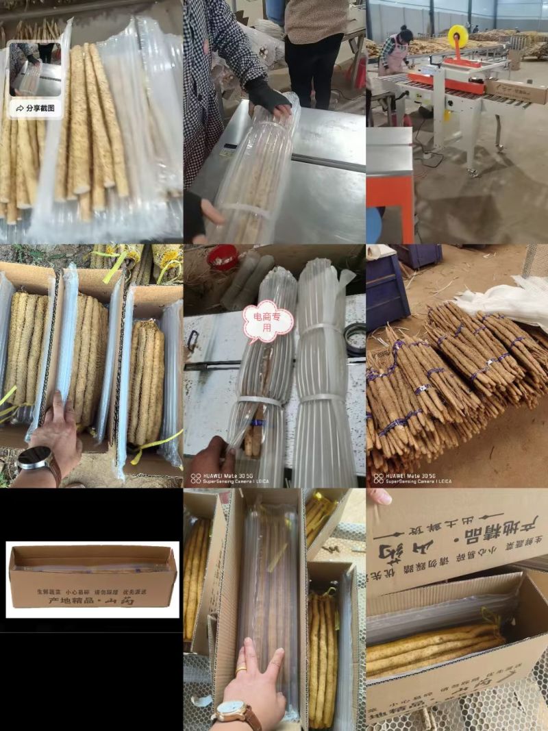 小白嘴山药产地直供，对接全国各大批发市场，超市，电商团购