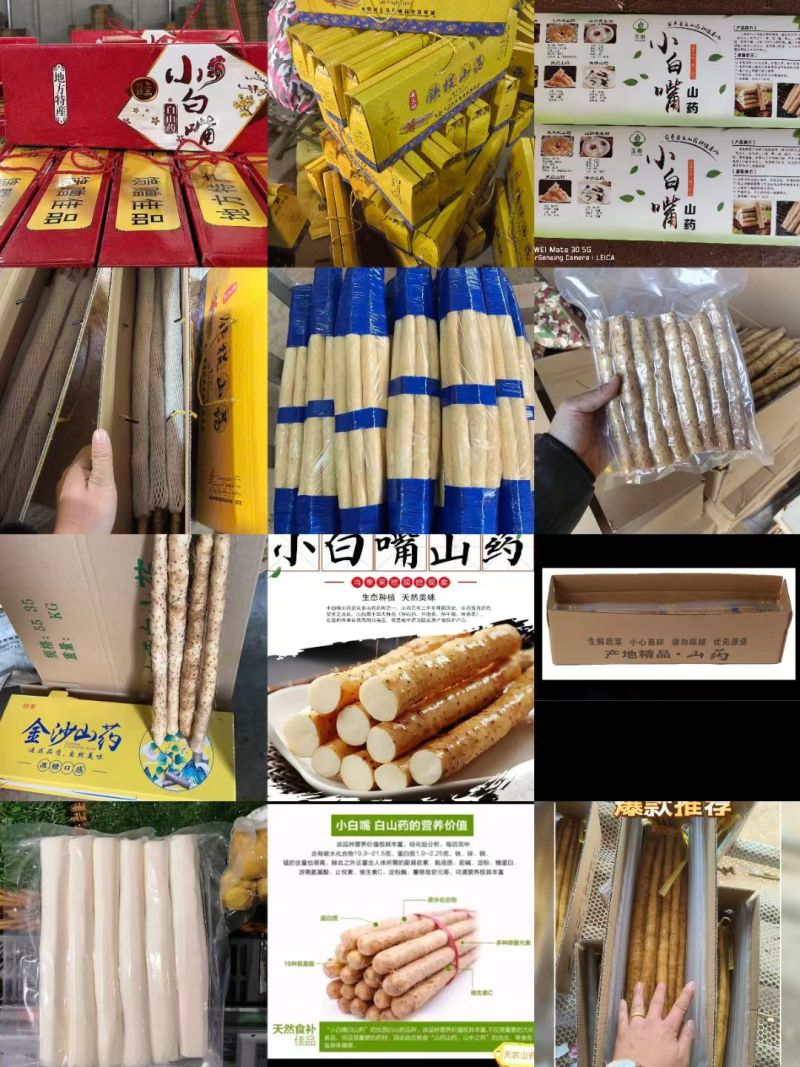 小白嘴山药产地直供，对接全国各大批发市场，超市，电商团购